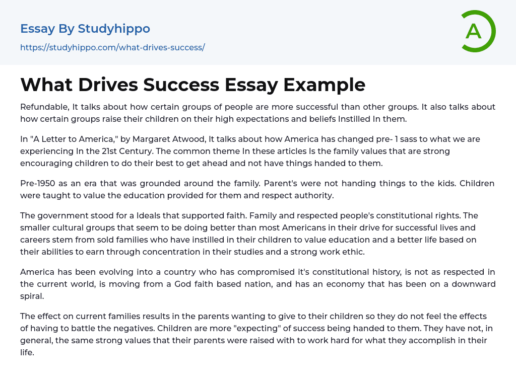 What Drives Success Essay Example