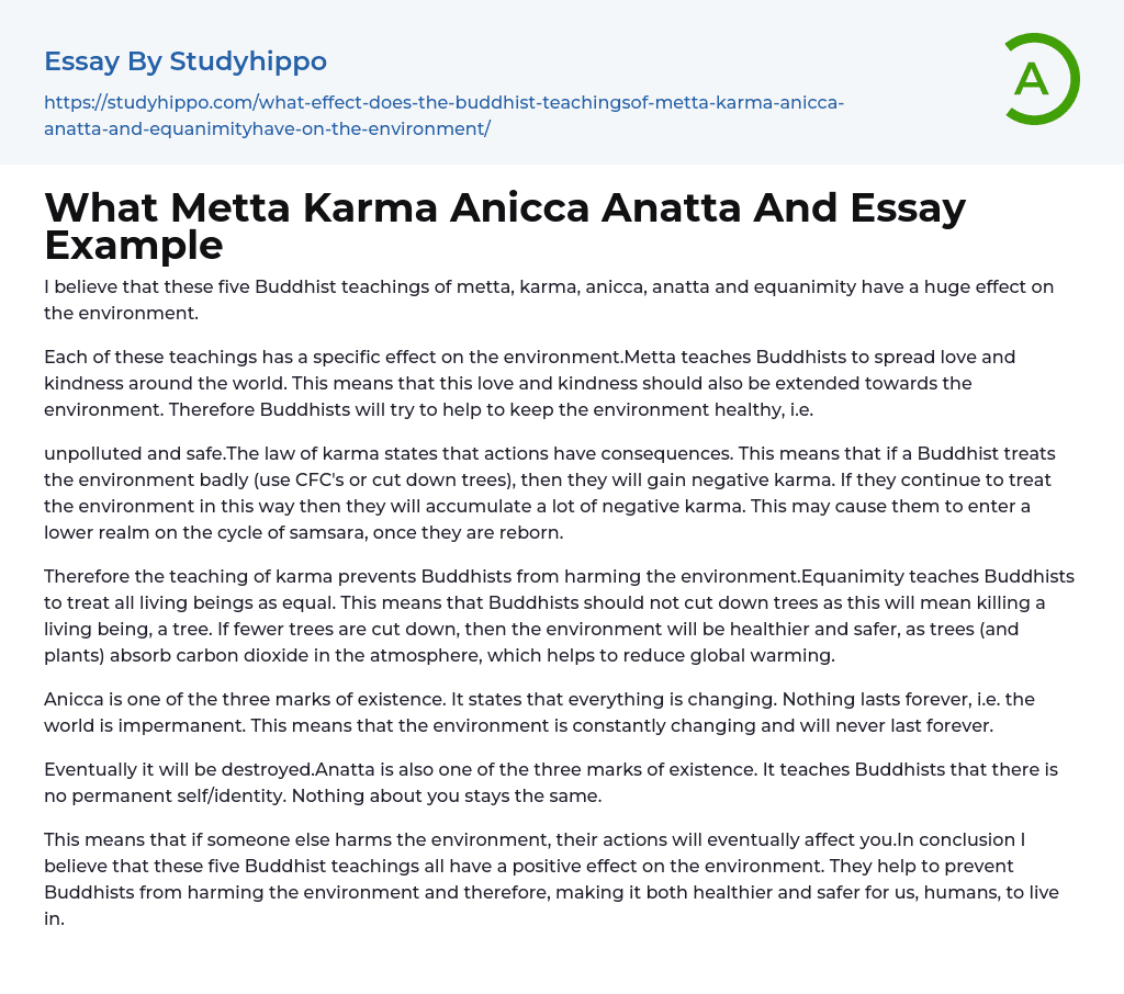 What Metta Karma Anicca Anatta And Essay Example