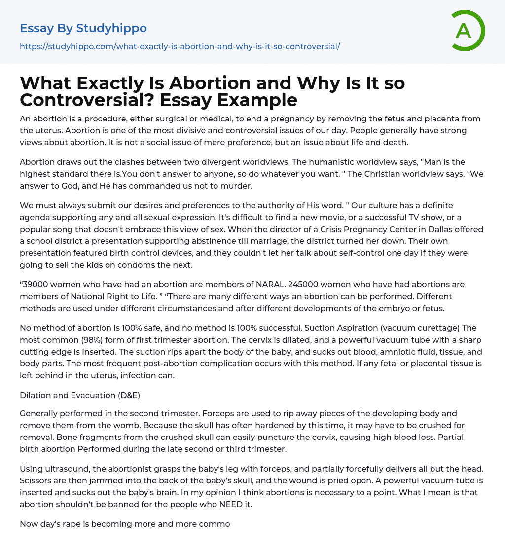 What Exactly Is Abortion and Why Is It so Controversial? Essay Example