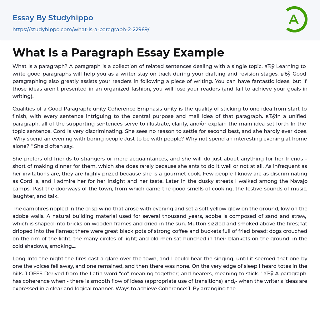 What Is a Paragraph Essay Example