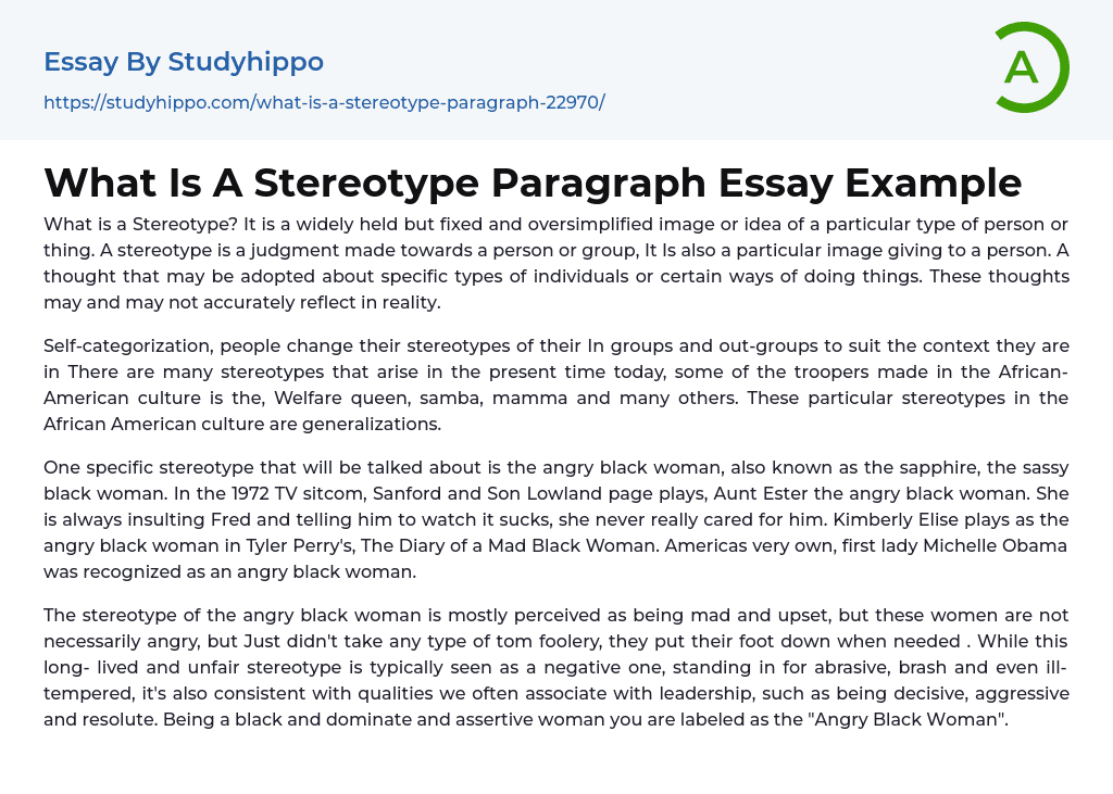 What Is A Stereotype Paragraph Essay Example