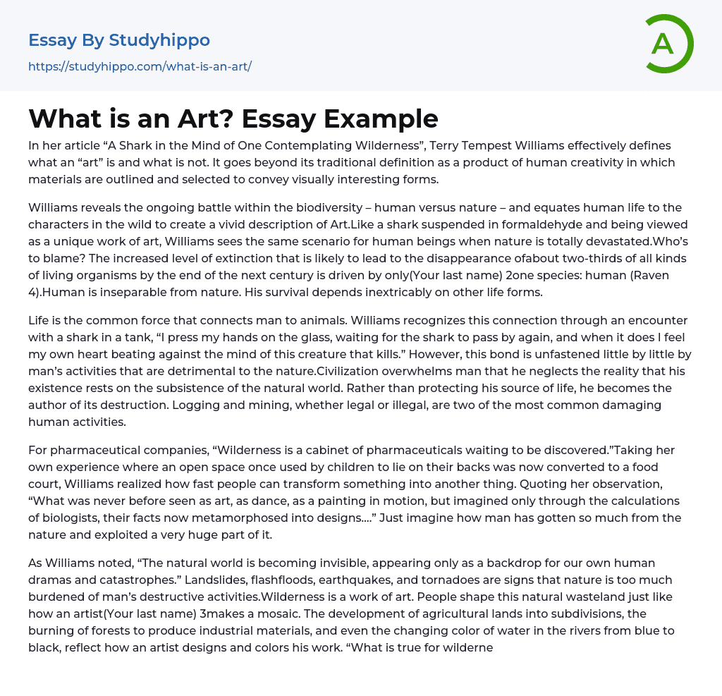 What is an Art? Essay Example