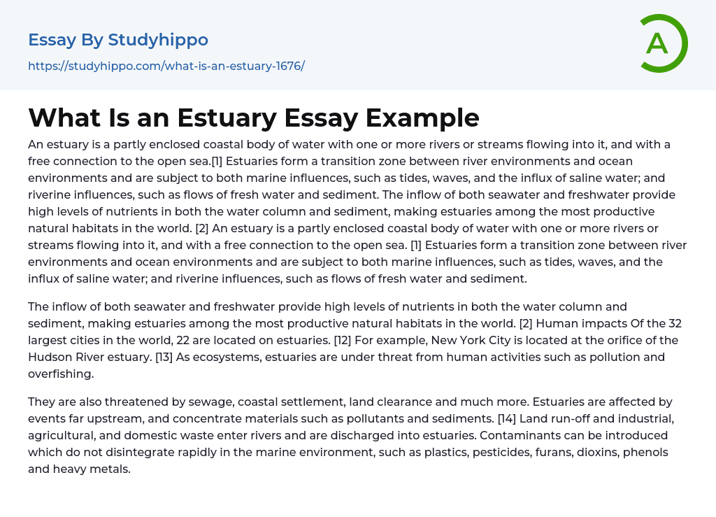What Is an Estuary Essay Example