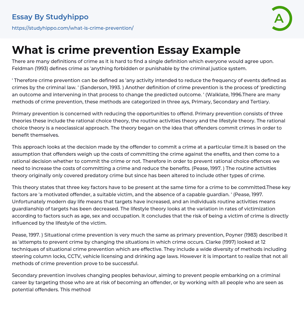 What is crime prevention Essay Example