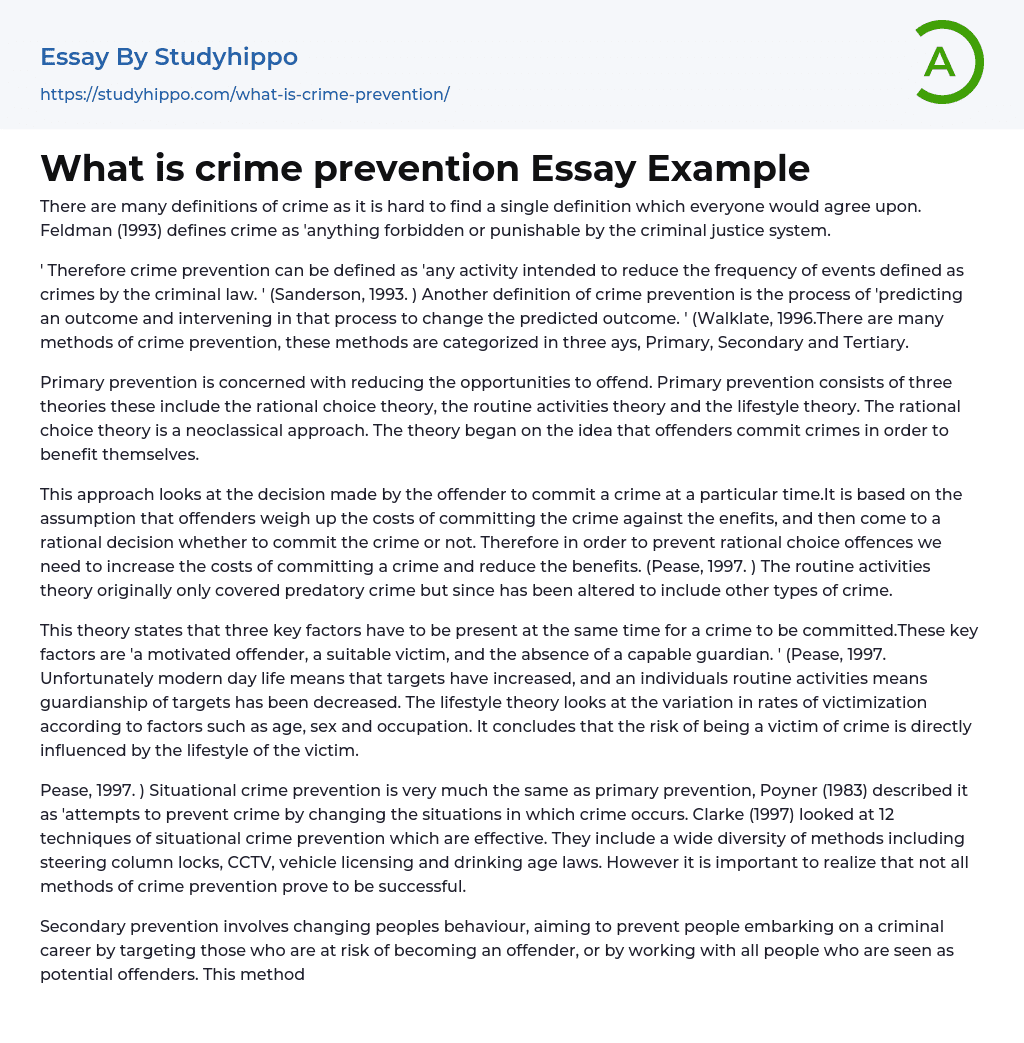 What Is Crime Prevention Essay Example StudyHippo