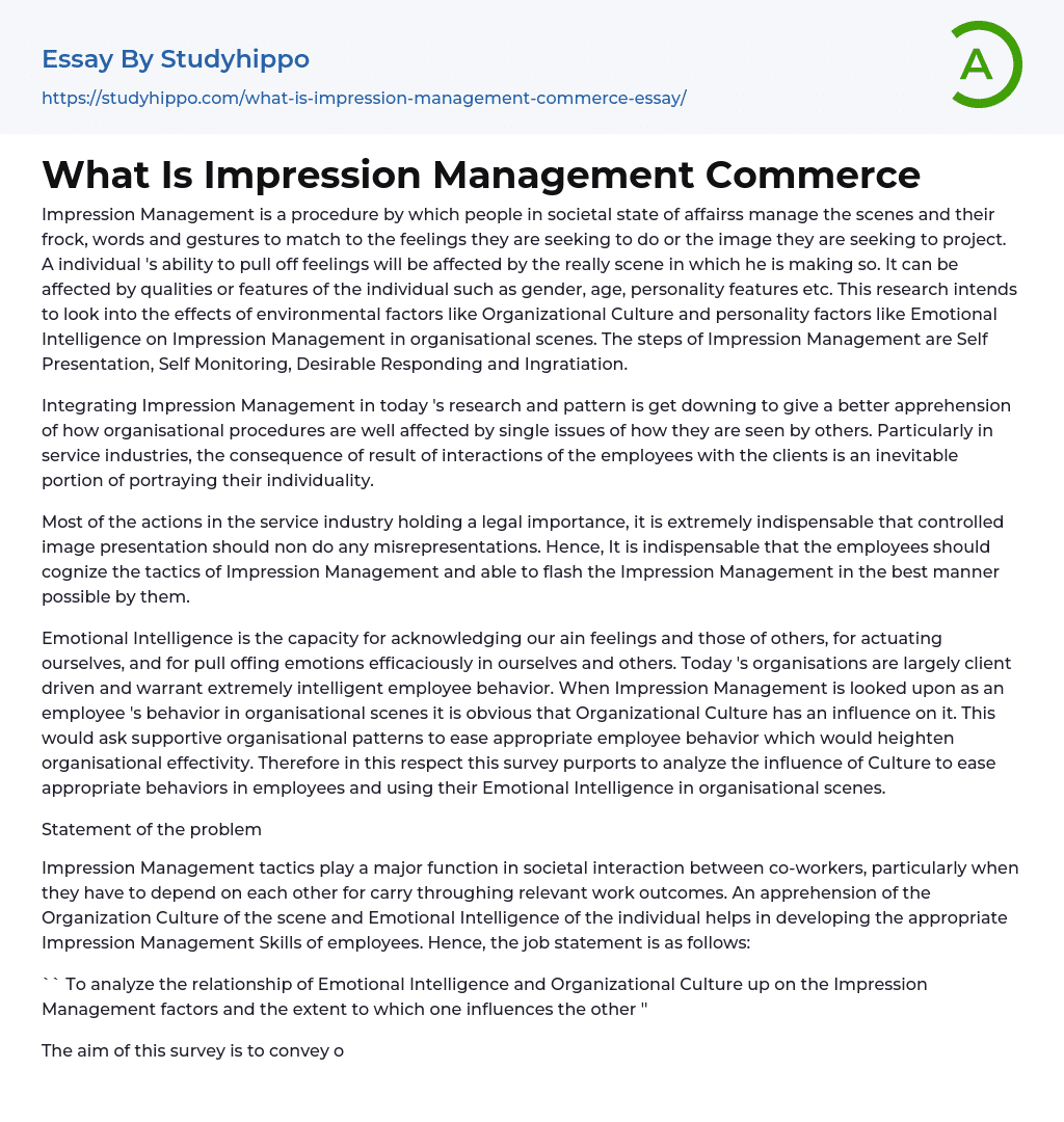 What Is Impression Management Commerce Essay Example