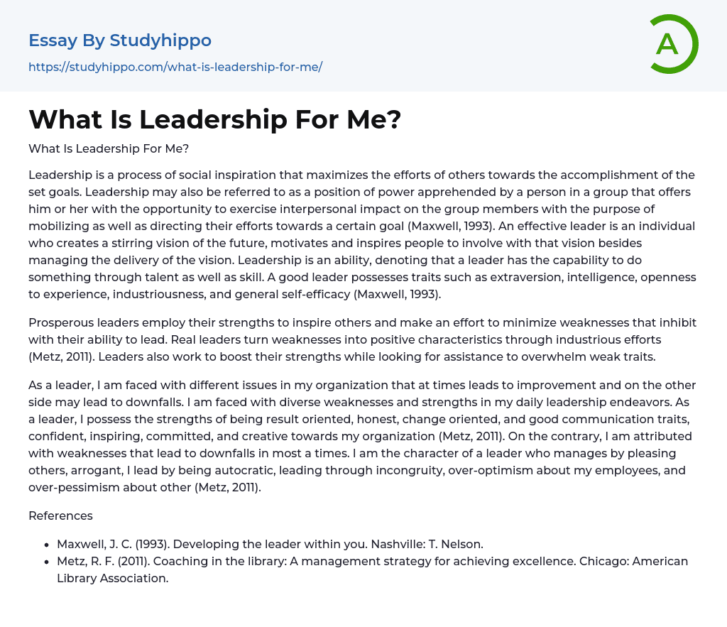 What Is Leadership For Me? Essay Example