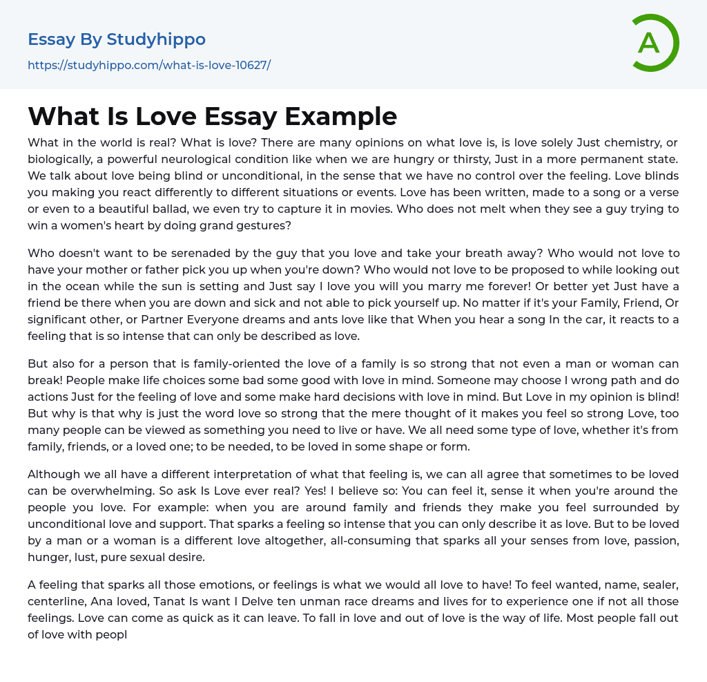 What Is Love Essay Example