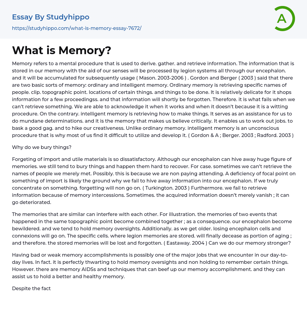 What is Memory? Essay Example