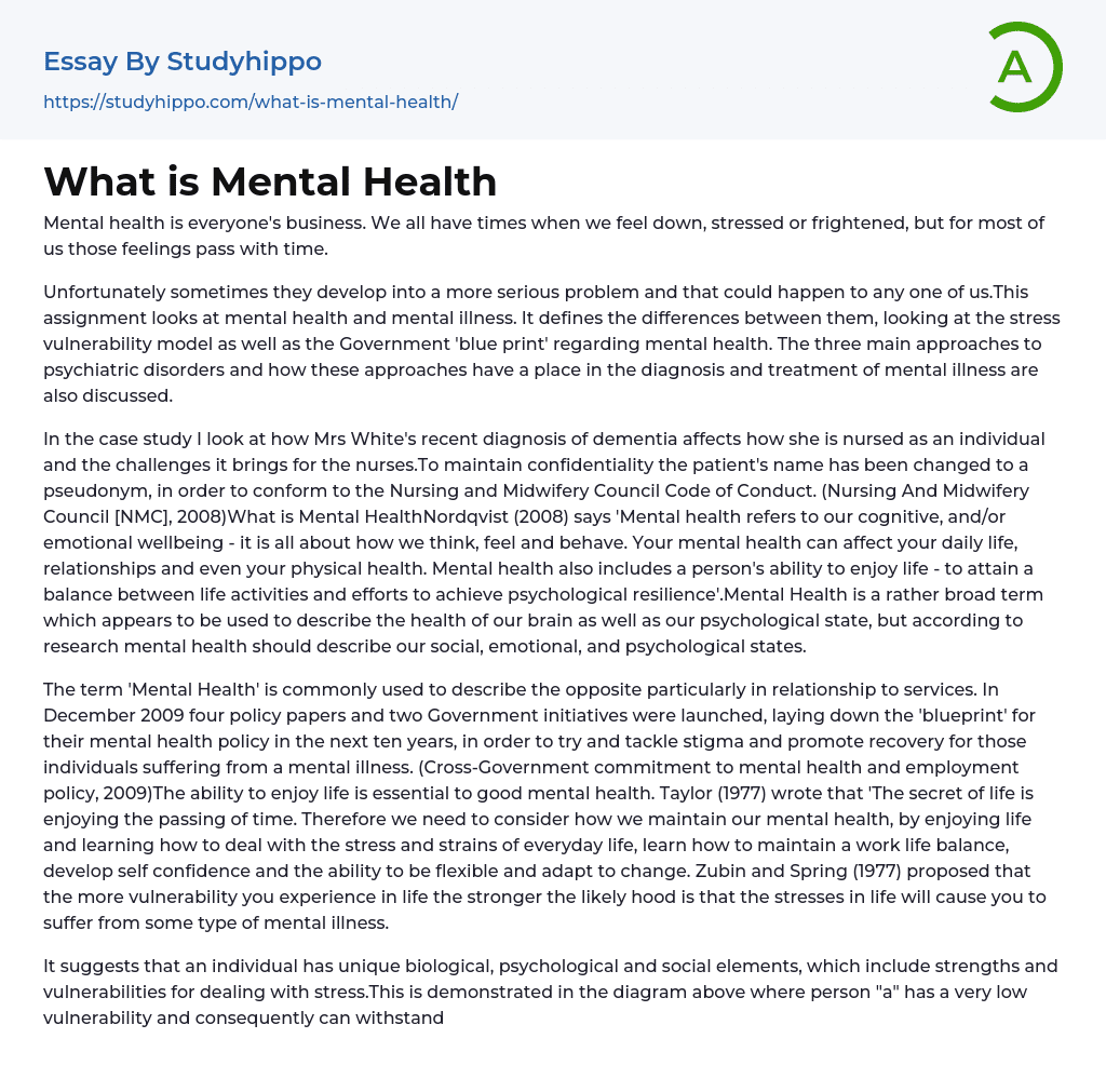 What is Mental Health Essay Example