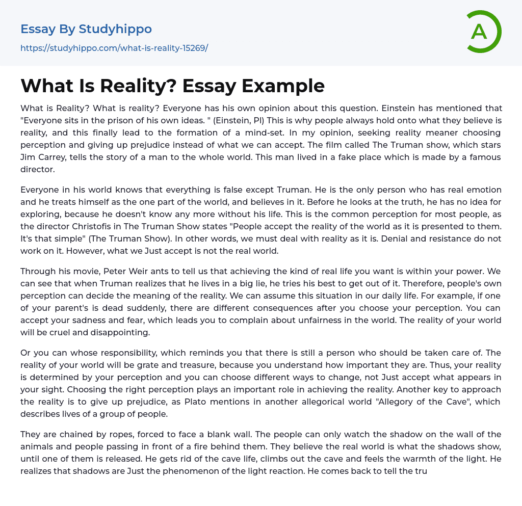 objective reality essay