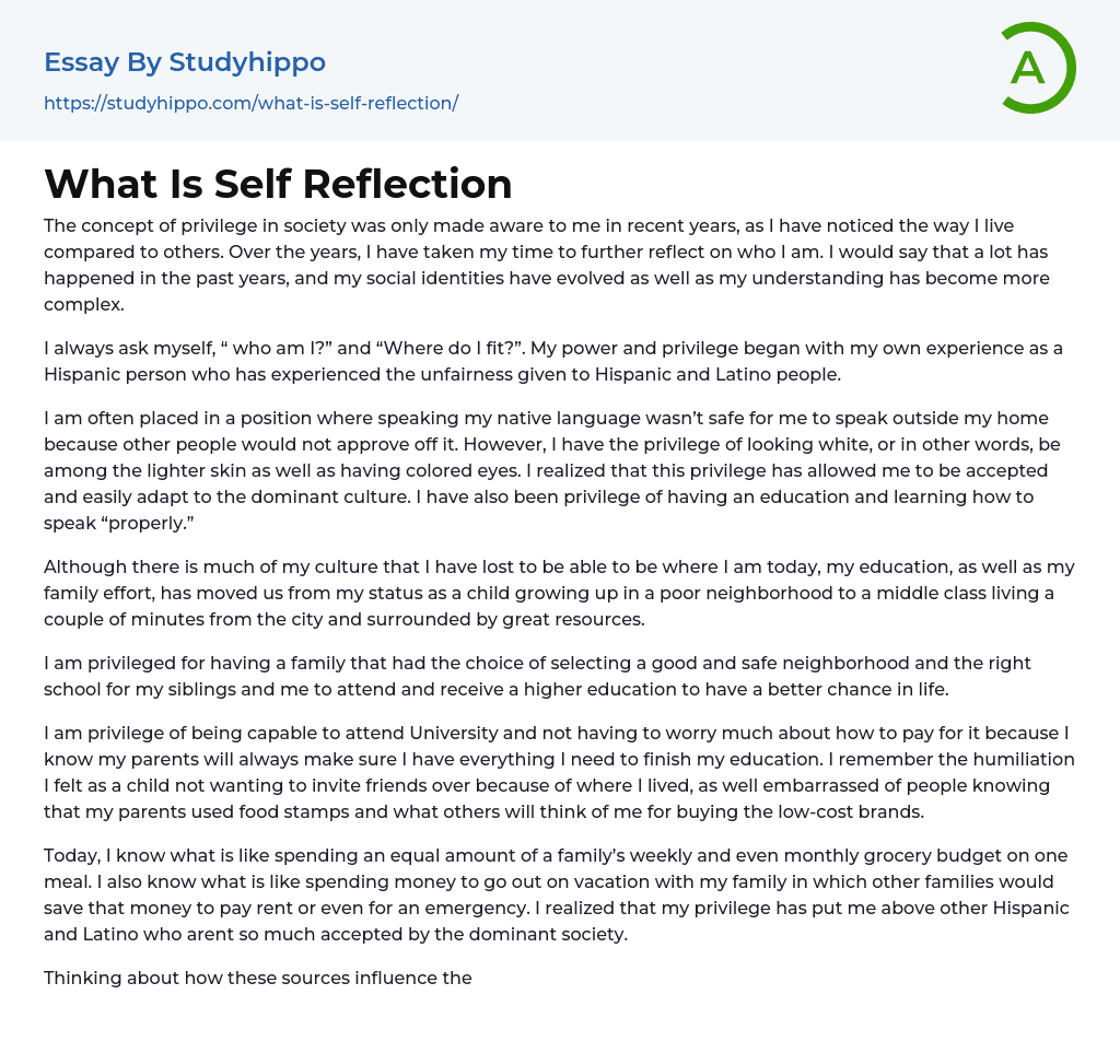 What Is Self Reflection Essay Example