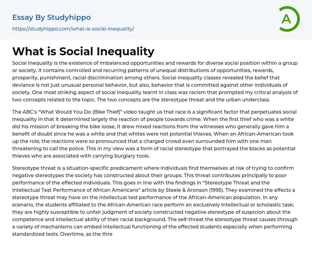 What Is Social Inequality Essay Example StudyHippo