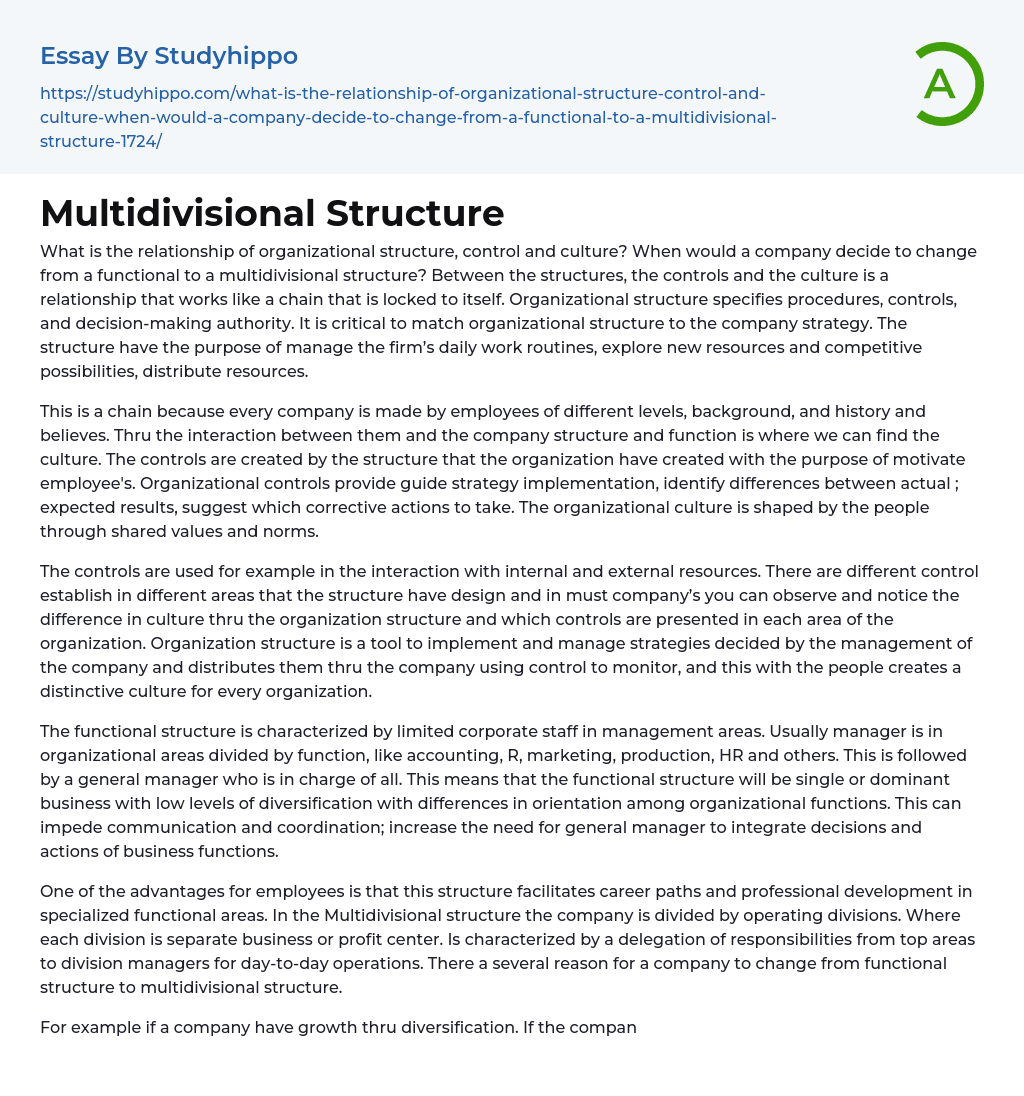 Multidivisional Structure Essay Example