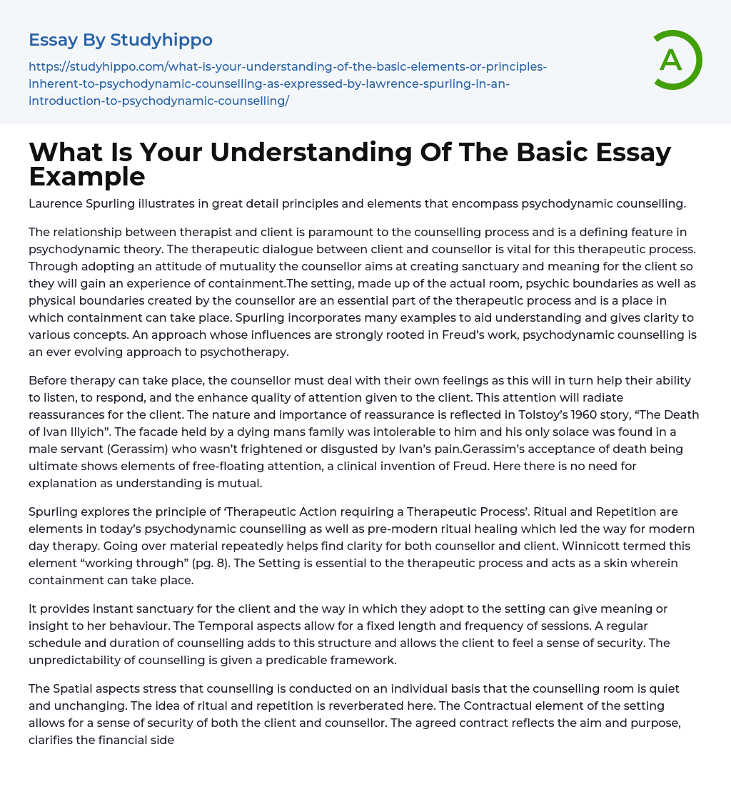 What Is Your Understanding Of The Basic Essay Example