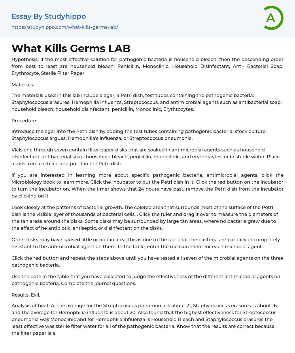 What Kills Germs LAB Essay Example