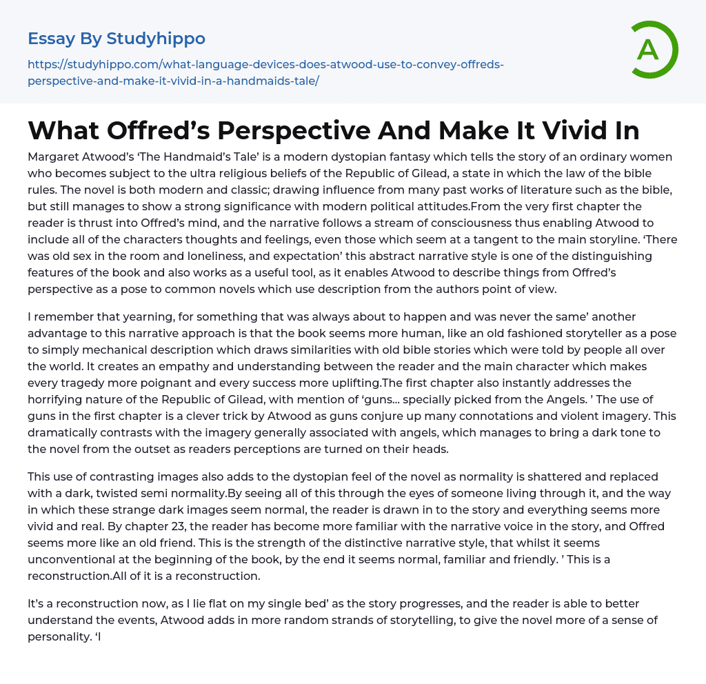 What Offred’s Perspective And Make It Vivid In Essay Example