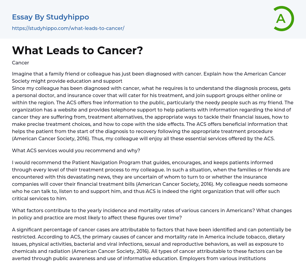 What Leads to Cancer? Essay Example