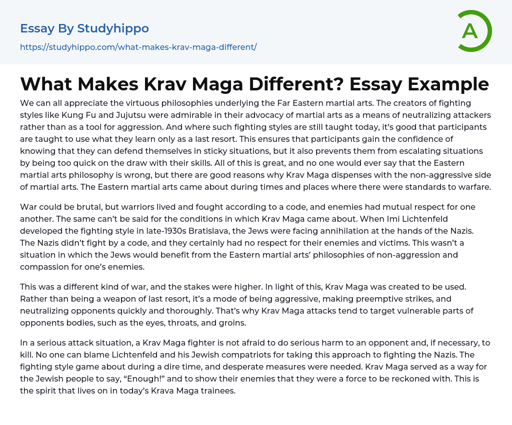 What Makes Krav Maga Different? Essay Example