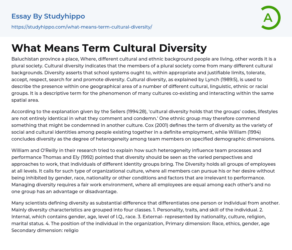 What Means Term Cultural Diversity Essay Example