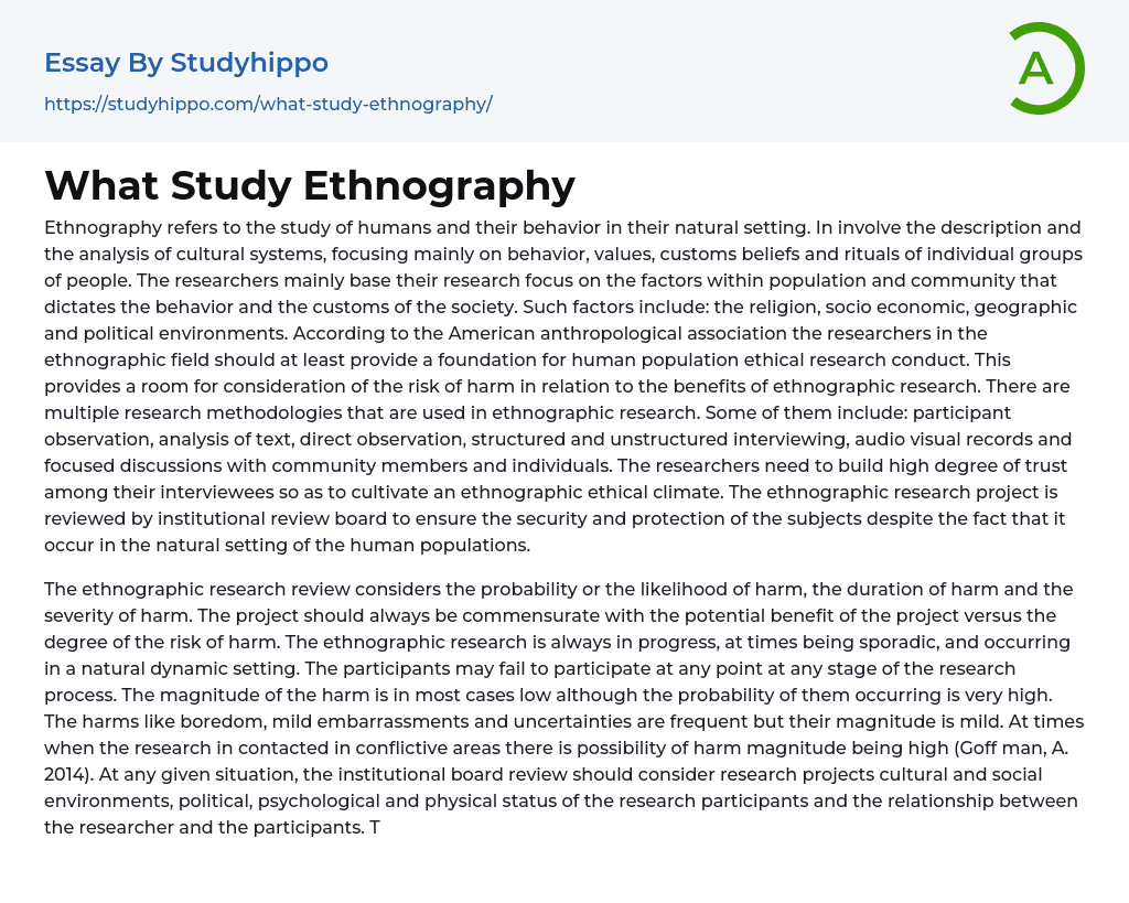 What Study Ethnography Essay Example