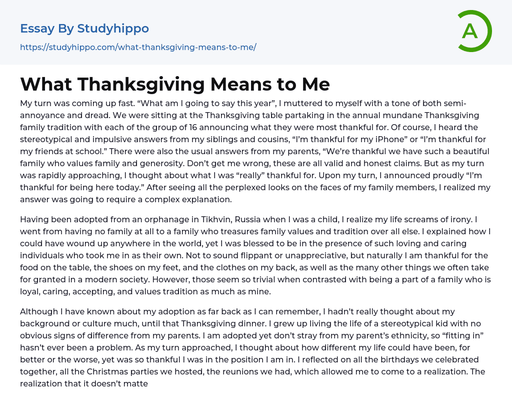 What Thanksgiving Means to Me Essay Example