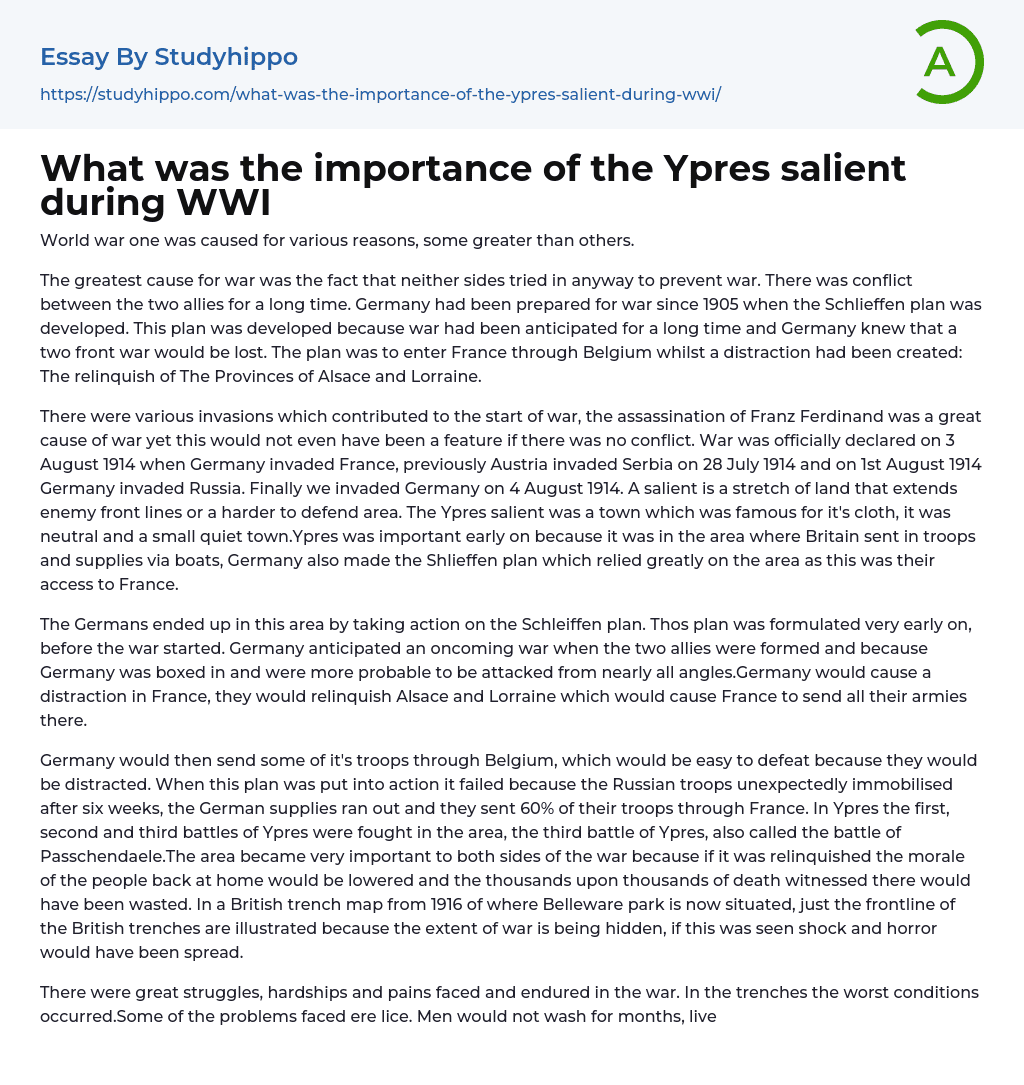 What was the importance of the Ypres salient during WWI Essay Example
