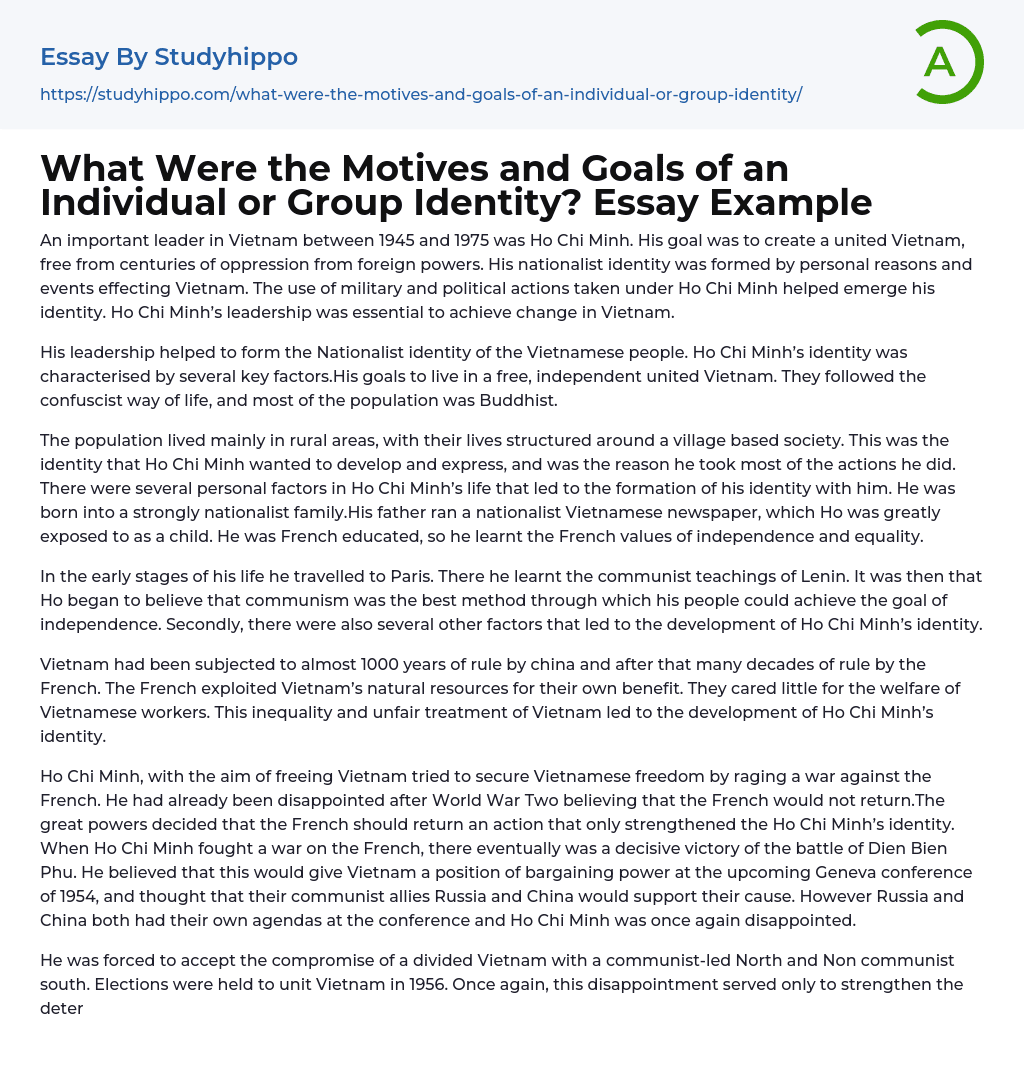 What Were the Motives and Goals of an Individual or Group Identity? Essay Example