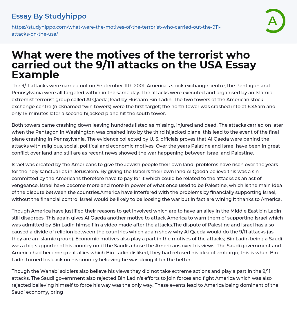 What were the motives of the terrorist who carried out the 9/11 attacks on the USA Essay Example