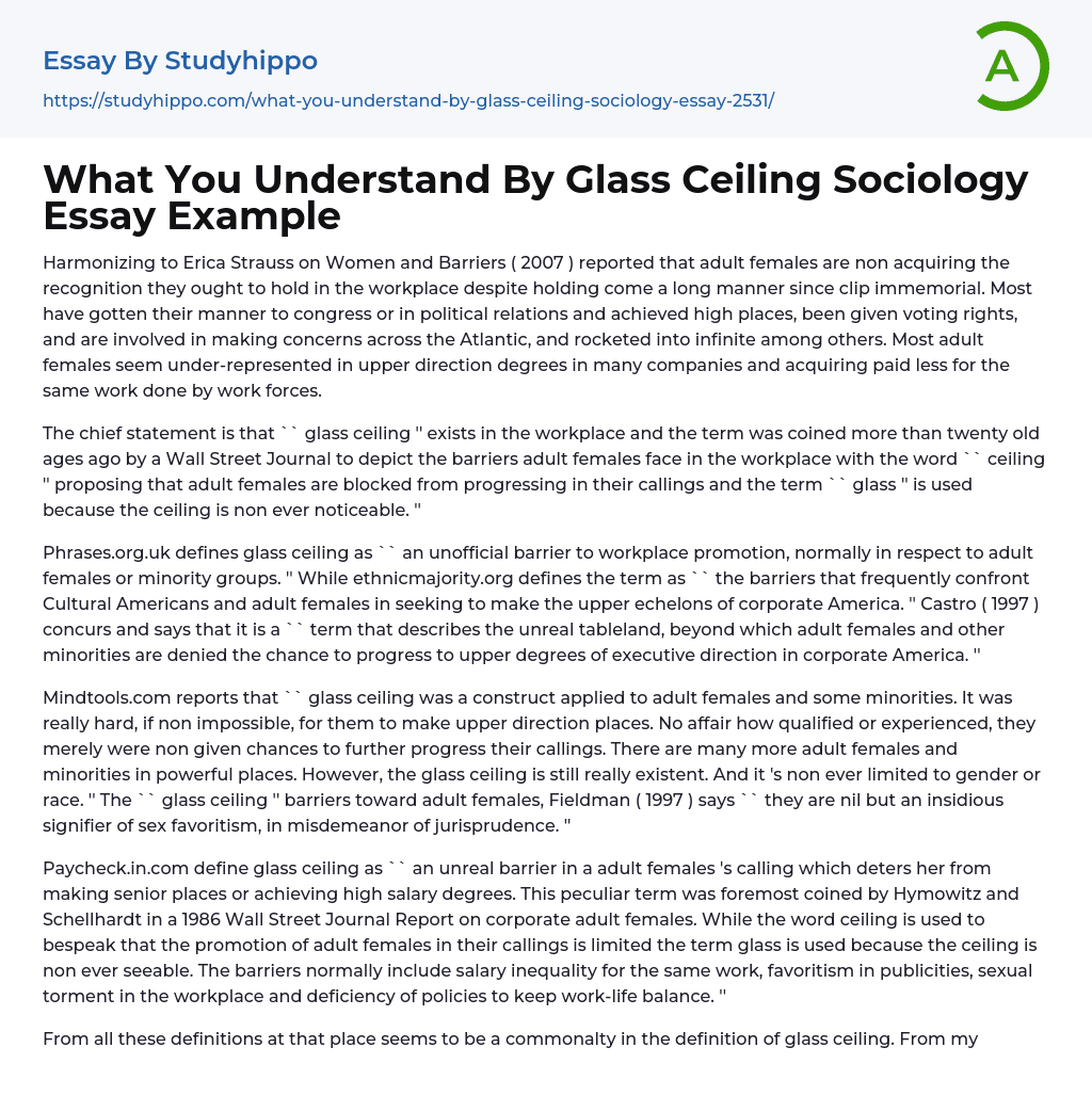 What You Understand By Glass Ceiling Sociology Essay Example