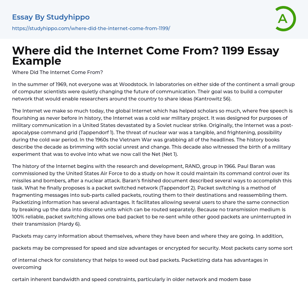 Where did the Internet Come From? 1199 Essay Example