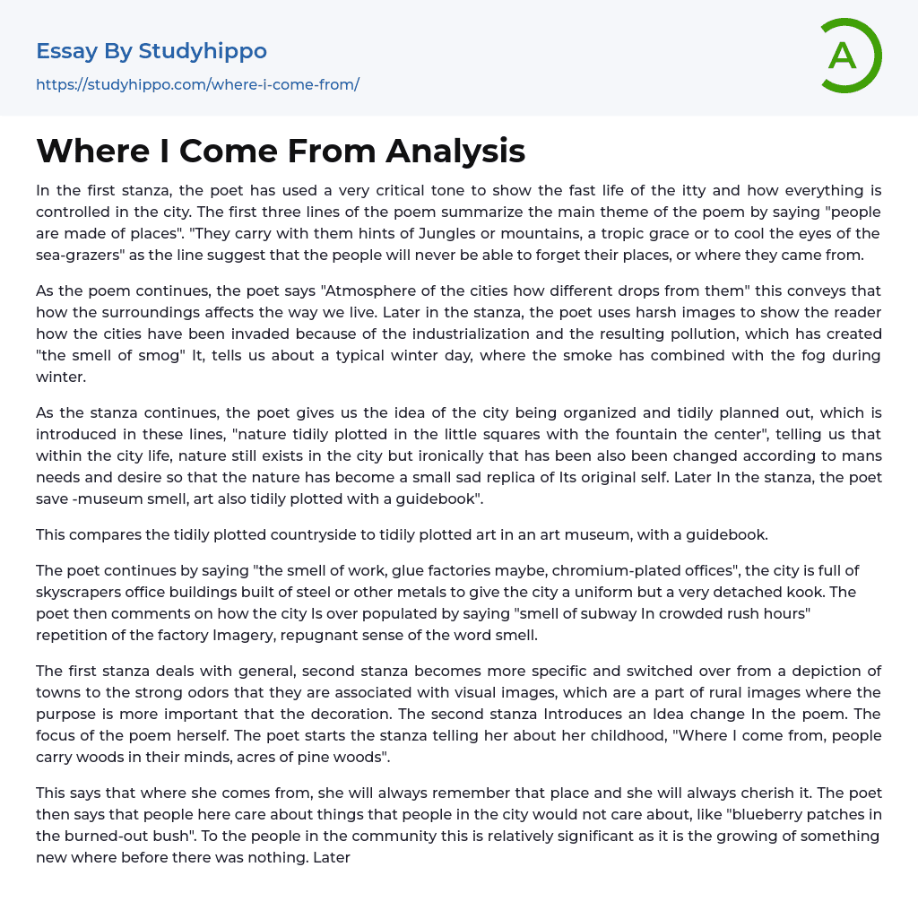 Where I Come From Analysis Essay Example