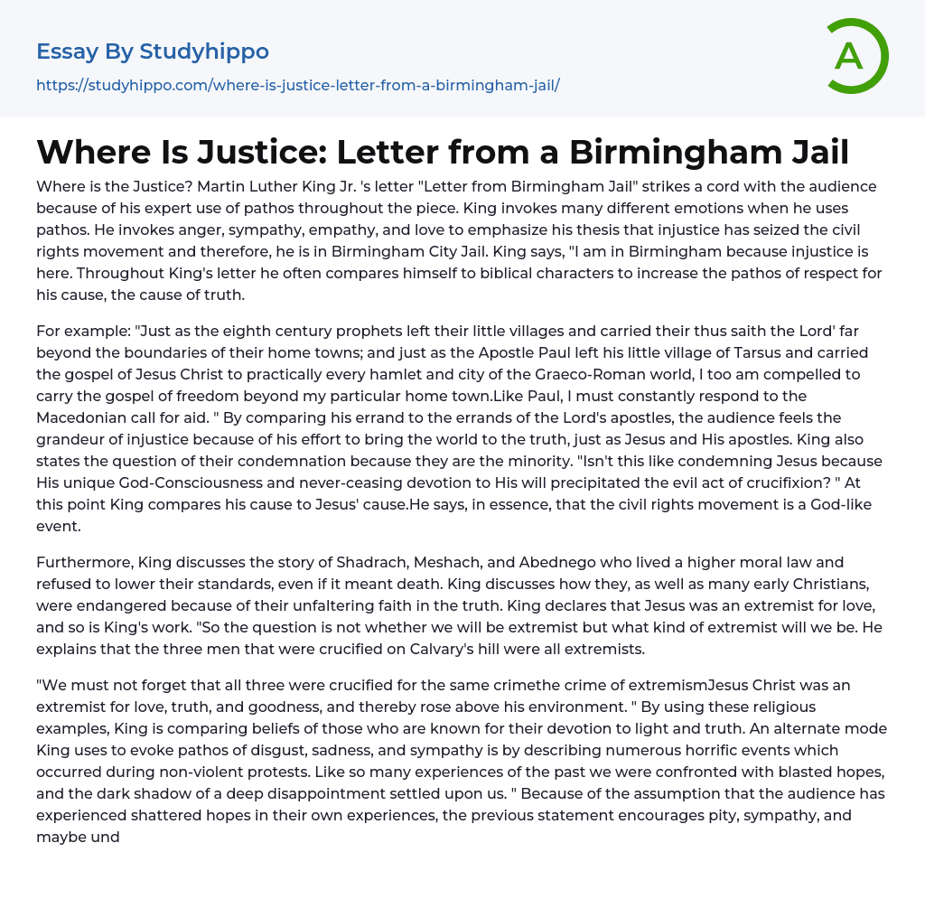 Where Is Justice: Letter from a Birmingham Jail Essay Example