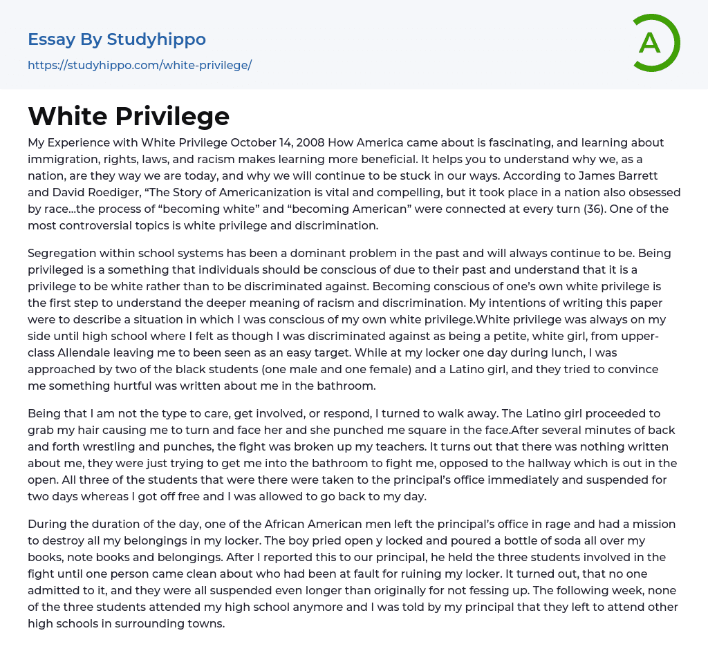 White Privilege Essay Example