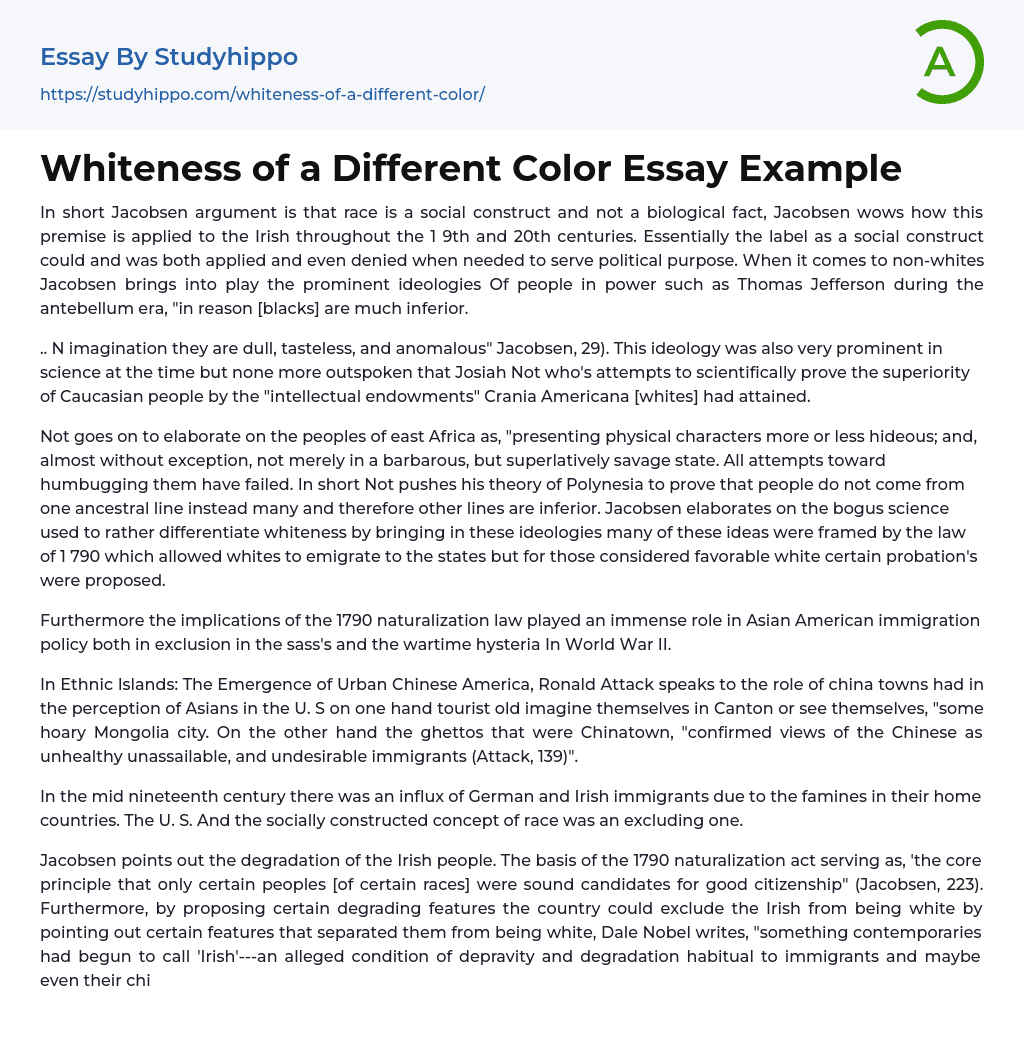 Whiteness of a Different Color Essay Example