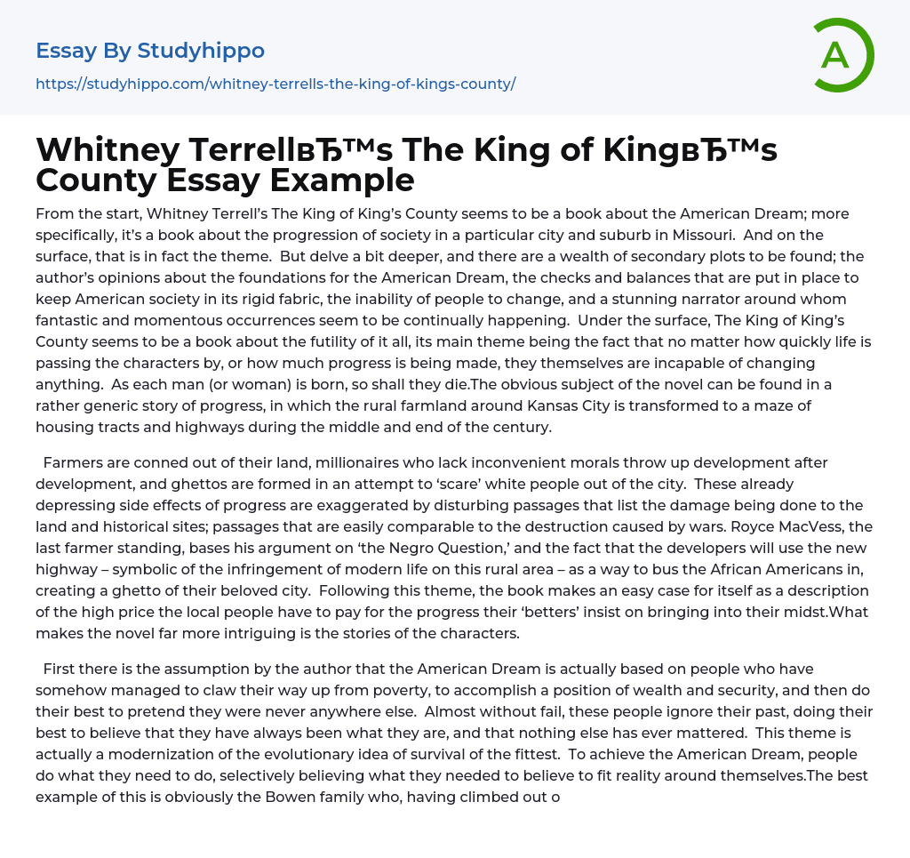 Whitney Terrell’s The King of King’s County Essay Example