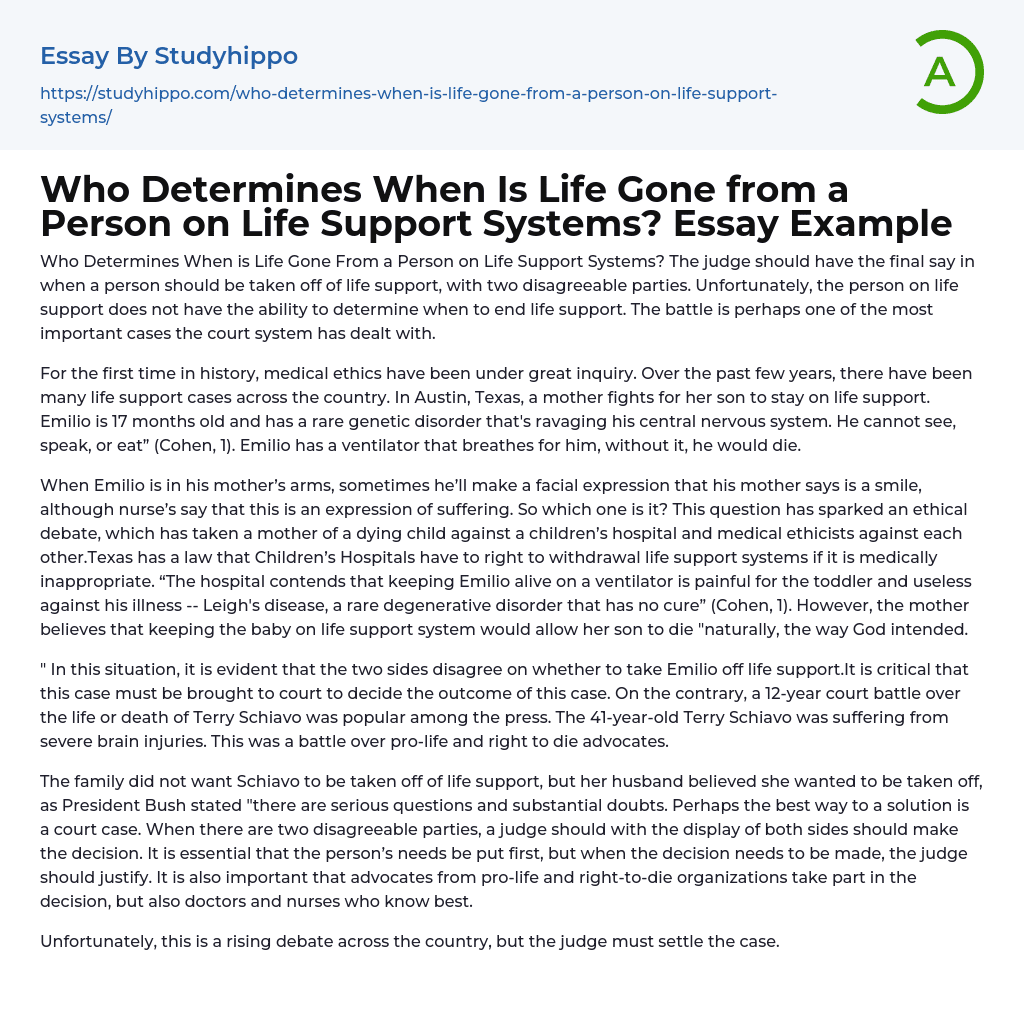 Who Determines When Is Life Gone from a Person on Life Support Systems? Essay Example
