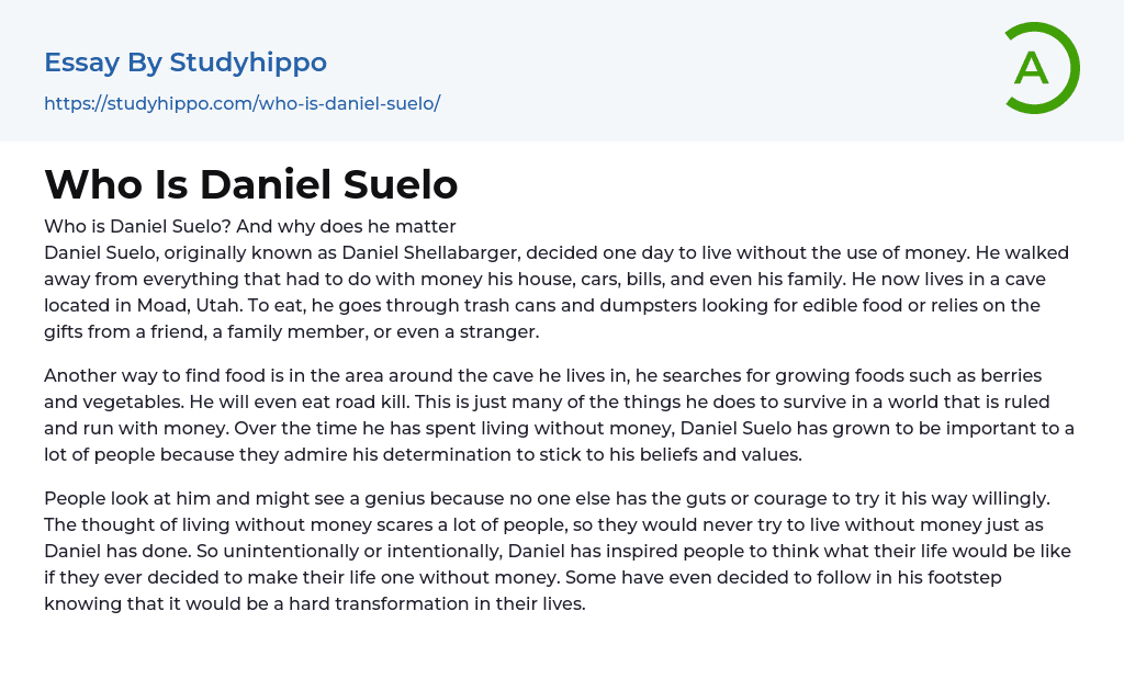 Who Is Daniel Suelo Essay Example