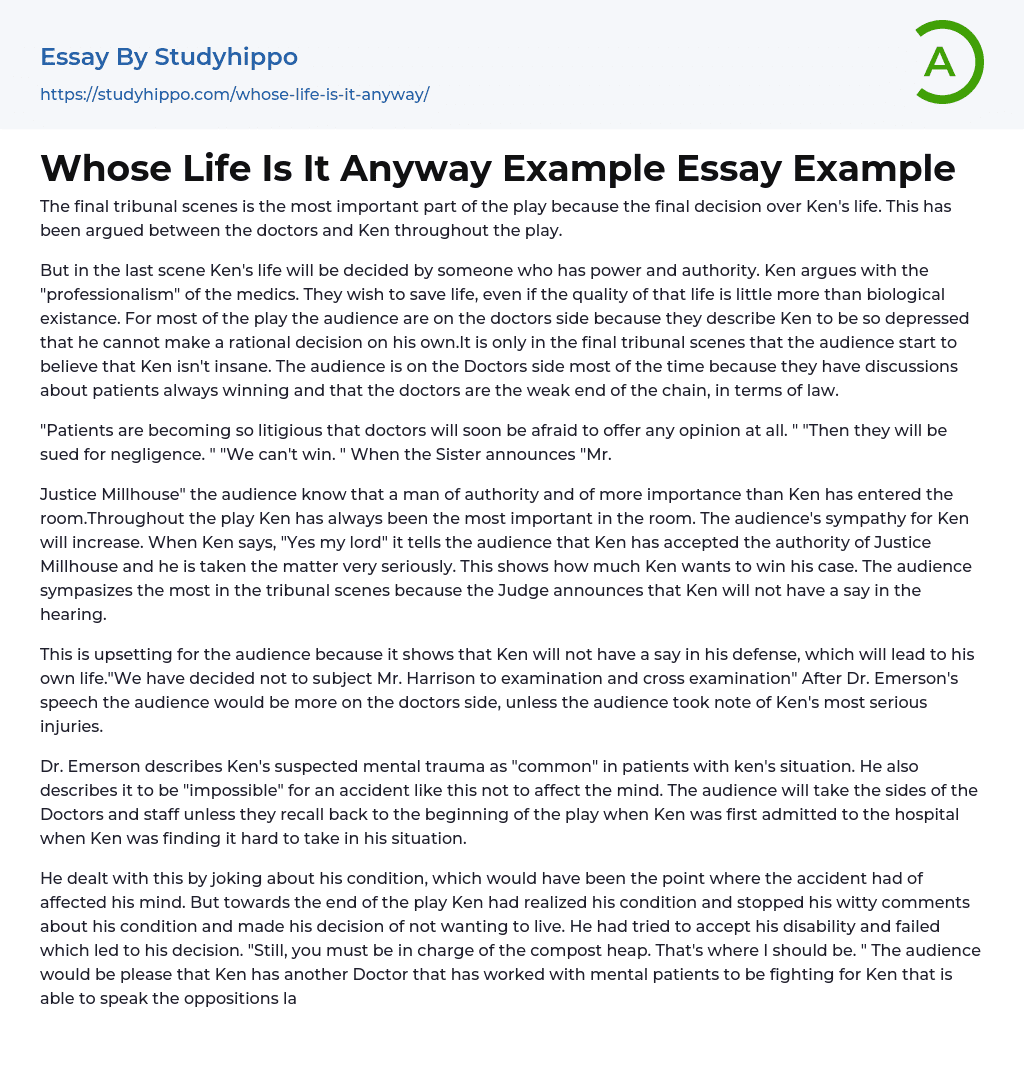 Whose Life Is It Anyway Example Essay Example