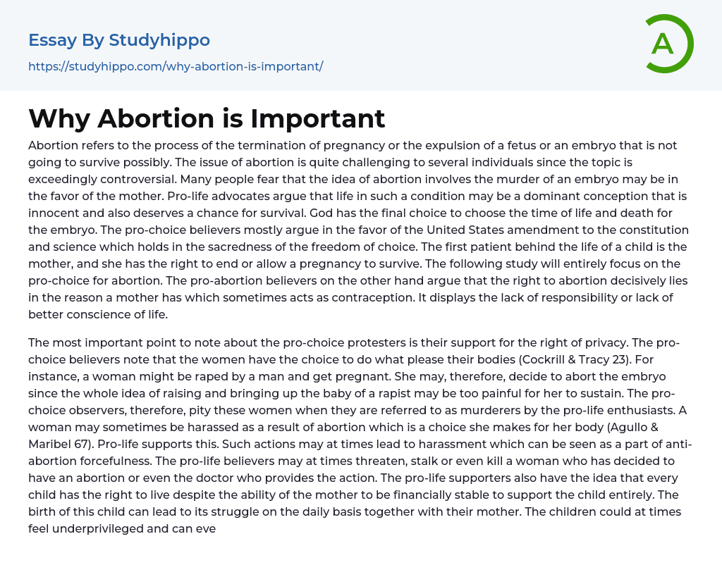 Why Abortion is Important Essay Example