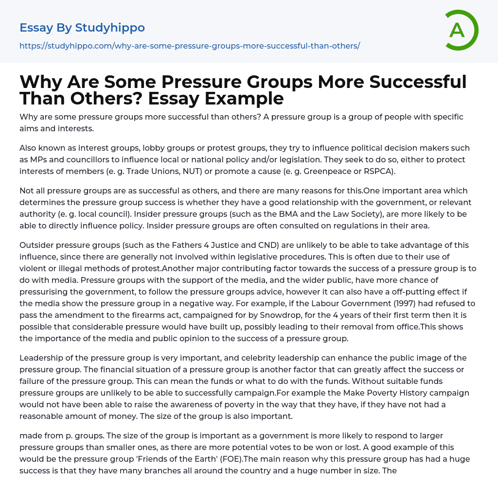 Why Are Some Pressure Groups More Successful Than Others? Essay Example