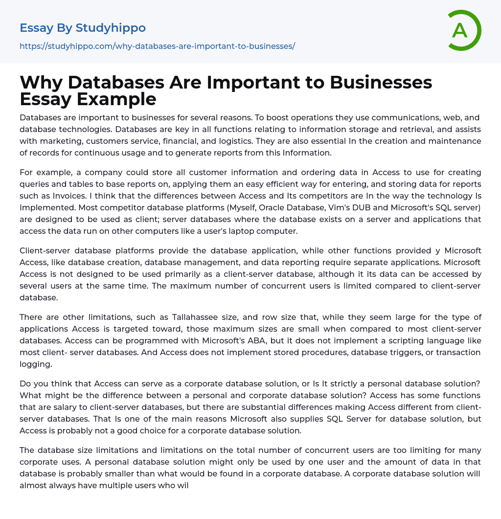 Why Databases Are Important to Businesses Essay Example