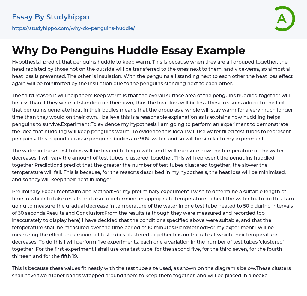 Why Do Penguins Huddle Essay Example