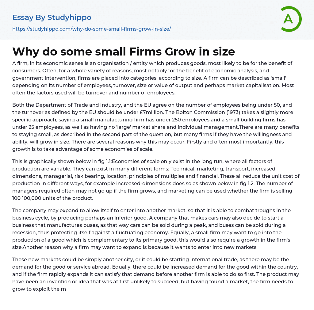 Why do some small Firms Grow in size Essay Example