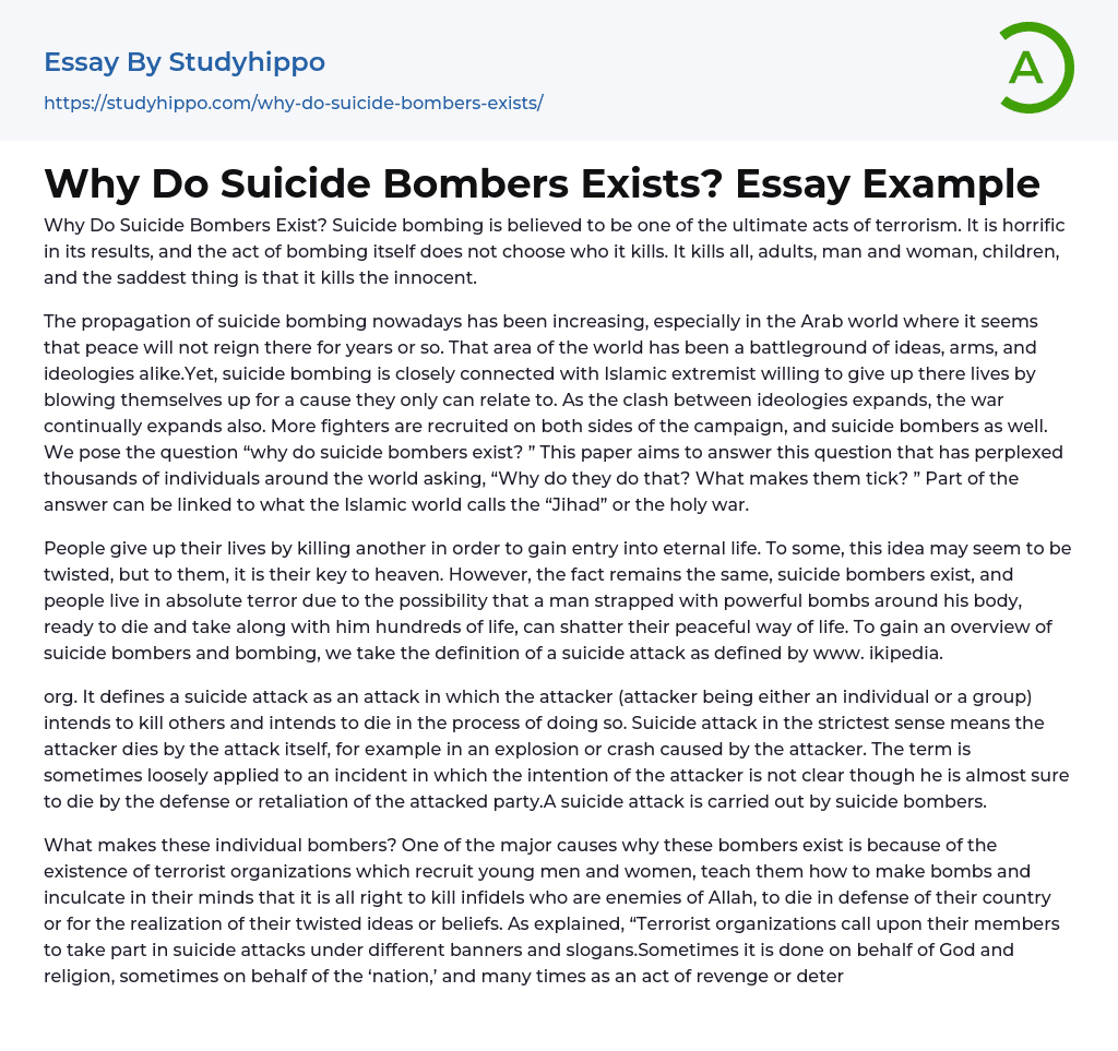 Why Do Suicide Bombers Exists? Essay Example