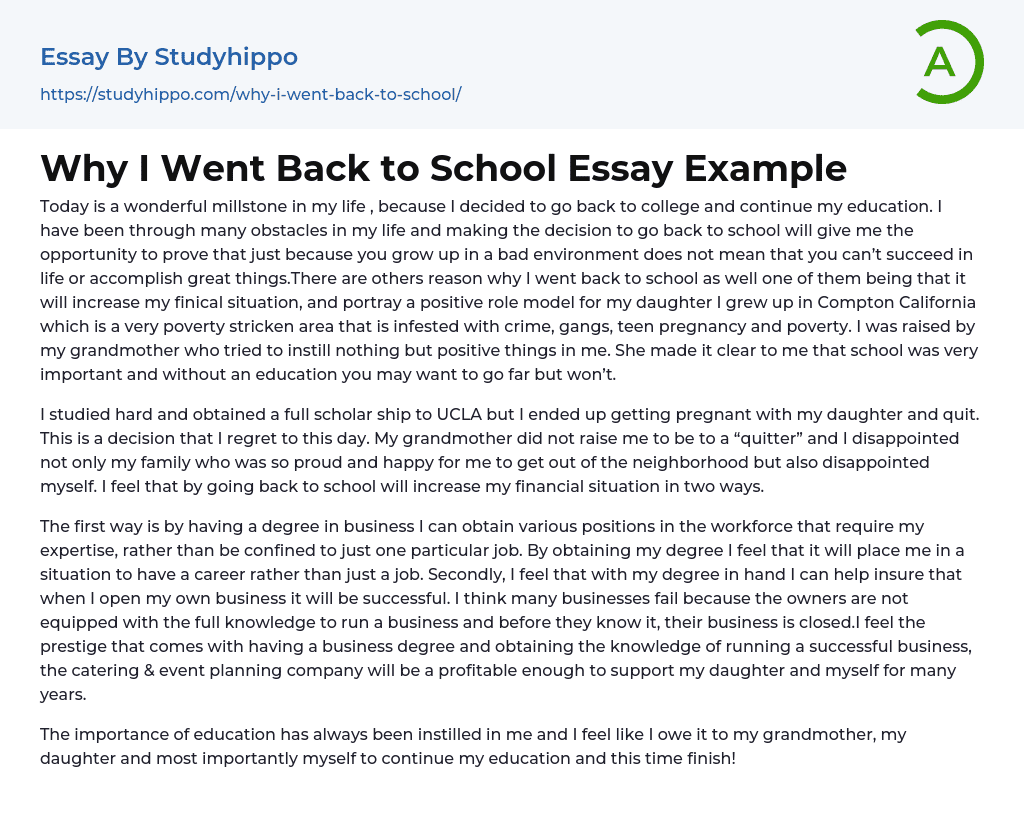 Why I Went Back to School Essay Example