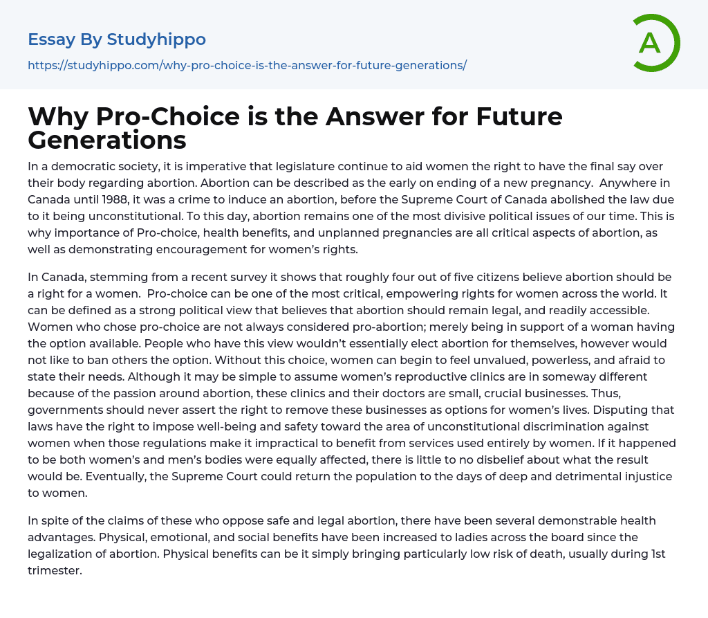 Why Pro-Choice is the Answer for Future Generations Essay Example