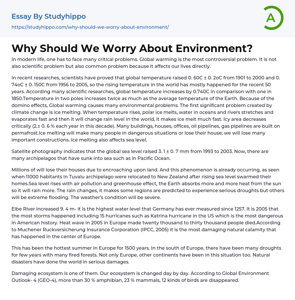 Why Should We Worry About Environment? Essay Example