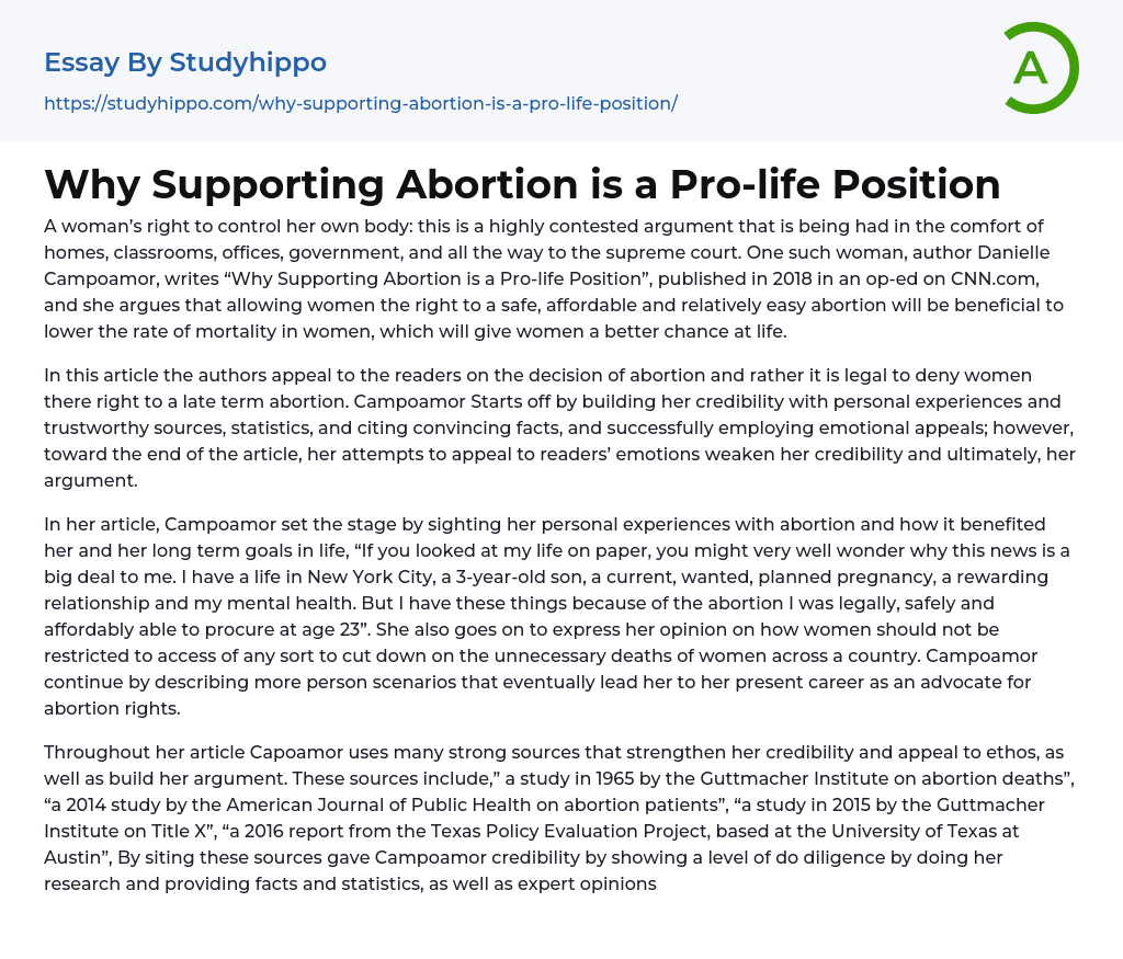 Why Supporting Abortion is a Pro-life Position Essay Example