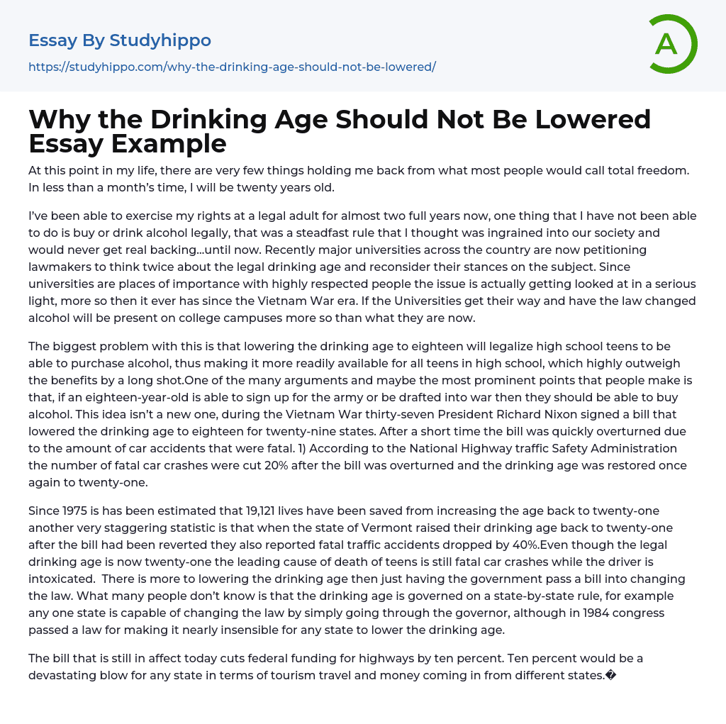 Why the Drinking Age Should Not Be Lowered Essay Example